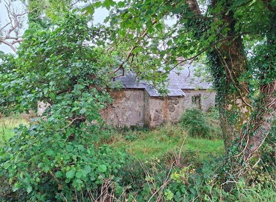 Carrowsallagh, Newport