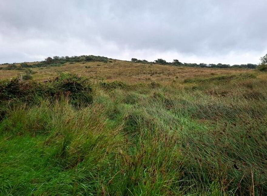 Carrowsallagh, Newport