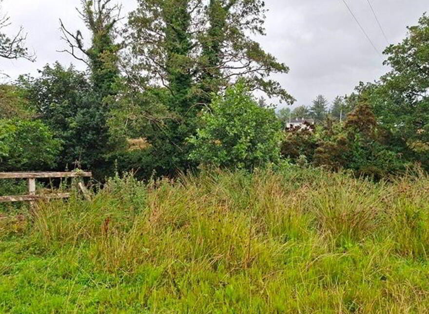 Carrowsallagh, Newport