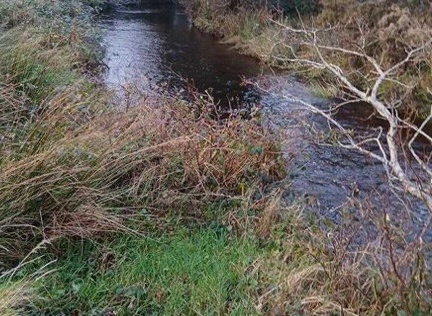 Carrowsallagh, Newport