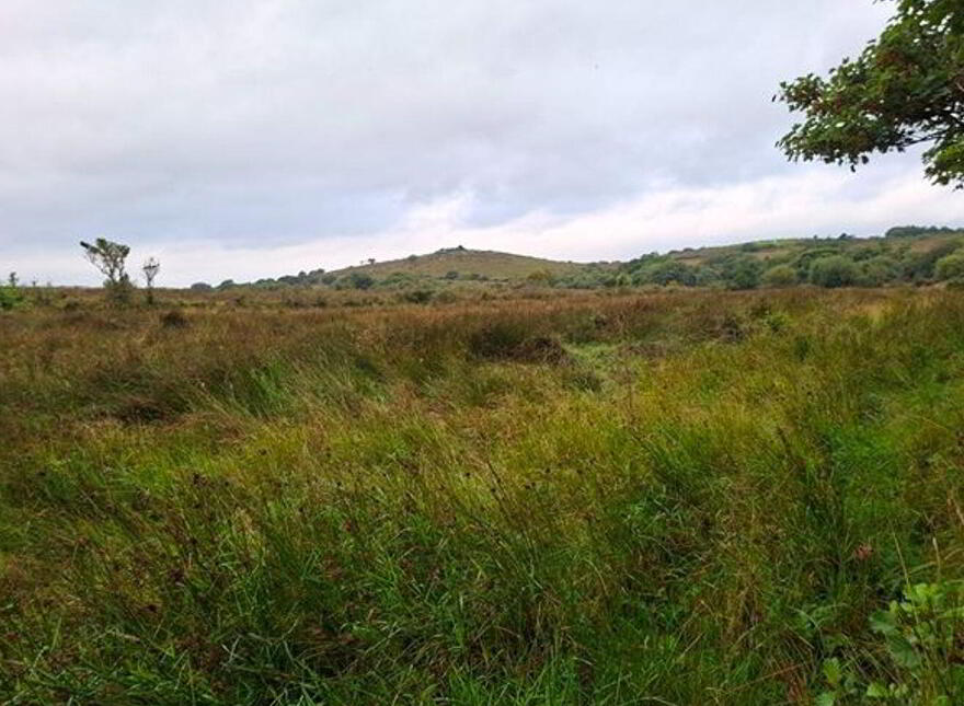 Carrowsallagh, Newport