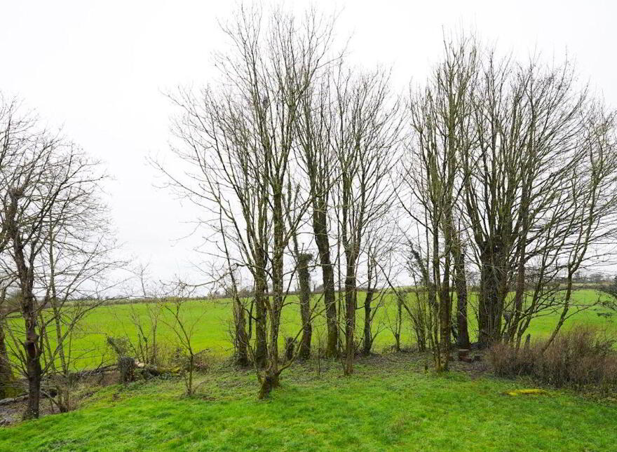 Lane's End Brierfield, Moylough, H53Y7X9