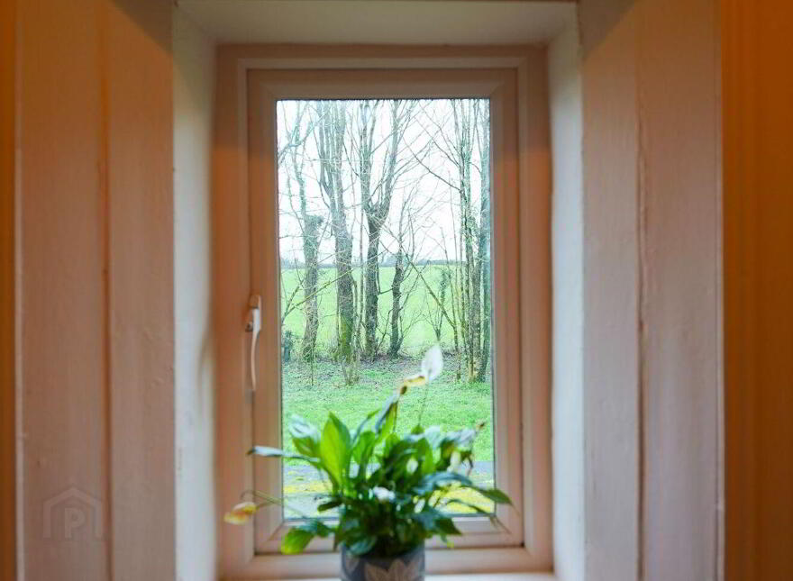 Lane's End Brierfield, Moylough, H53Y7X9