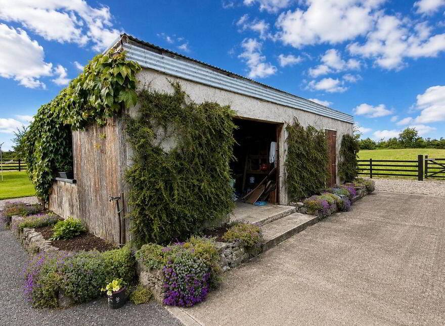 Knockavanny, Birmingham Road, Tuam, H54CH63