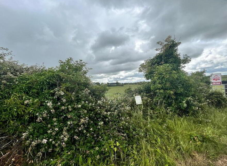 Kilclooney, Milltown
