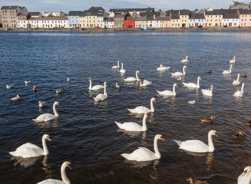 Unit 4, Caiseal Eala, Galway City Centre, H91NV00