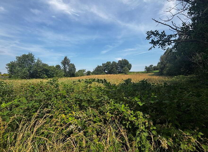 Castlefarm, Dunmore