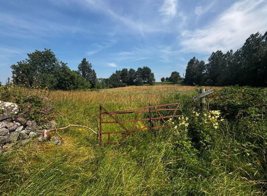 Castlefarm, Dunmore