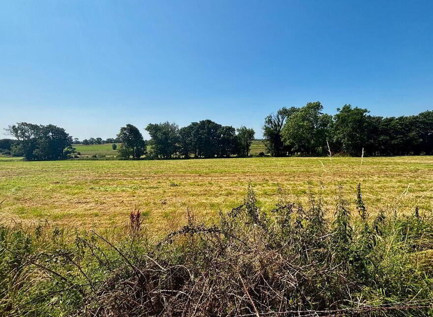 Kilcreevanty, Tuam, H54R235
