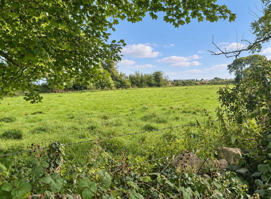 Barbersfort, Barnaderg photo