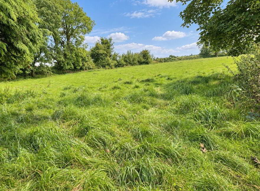 Barbersfort, Barnaderg