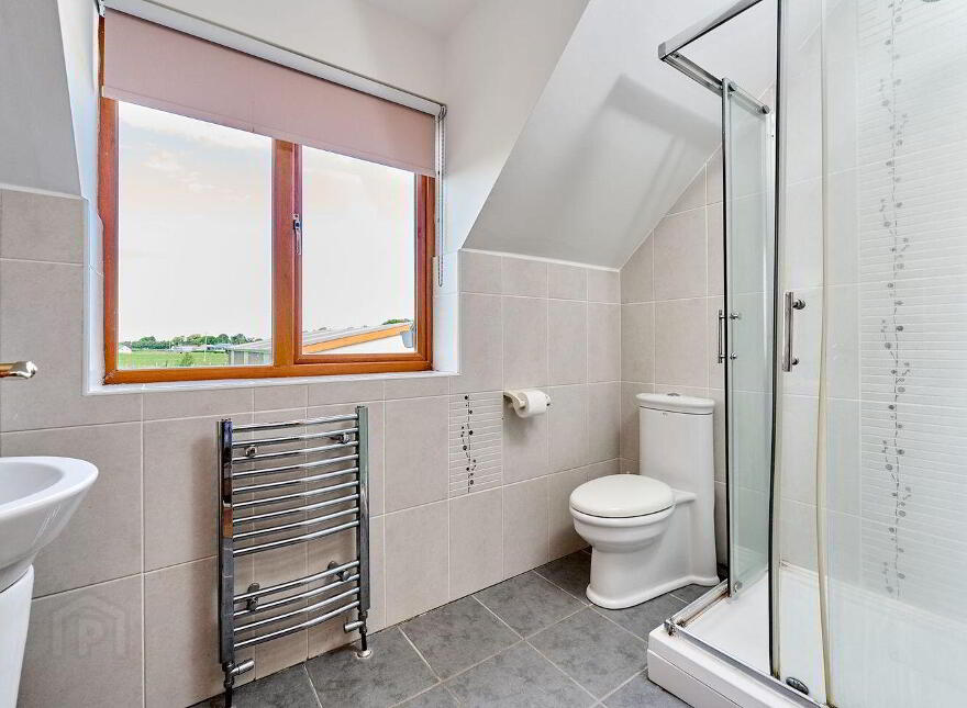 Drumcooley, Killane, Killane, R45N722