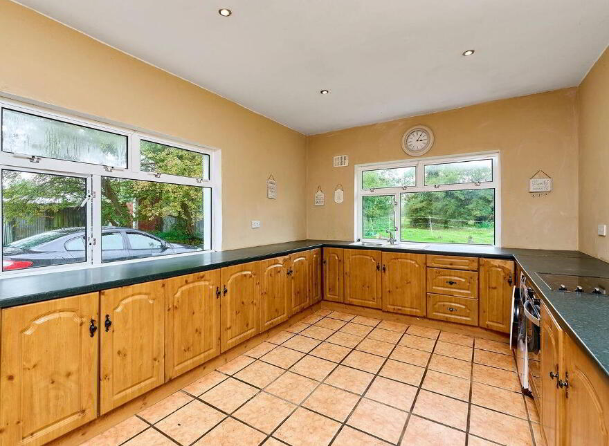 Ticknevin, Carbury, W91X8XN