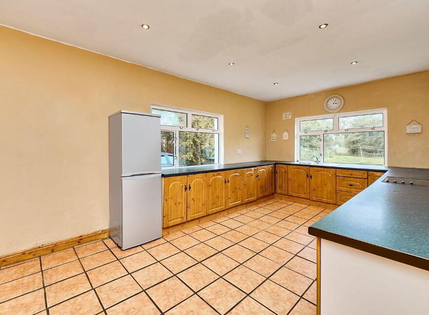 Ticknevin, Carbury, W91X8XN