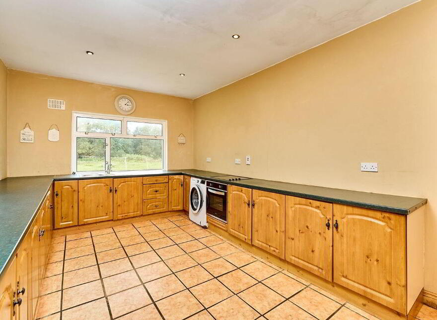 Ticknevin, Carbury, W91X8XN