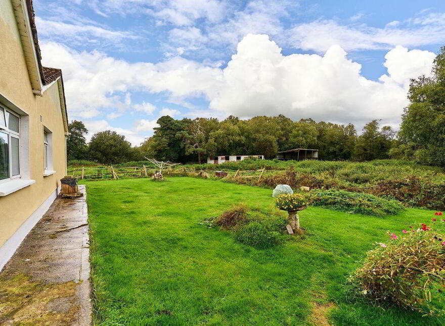 Ticknevin, Carbury, W91X8XN