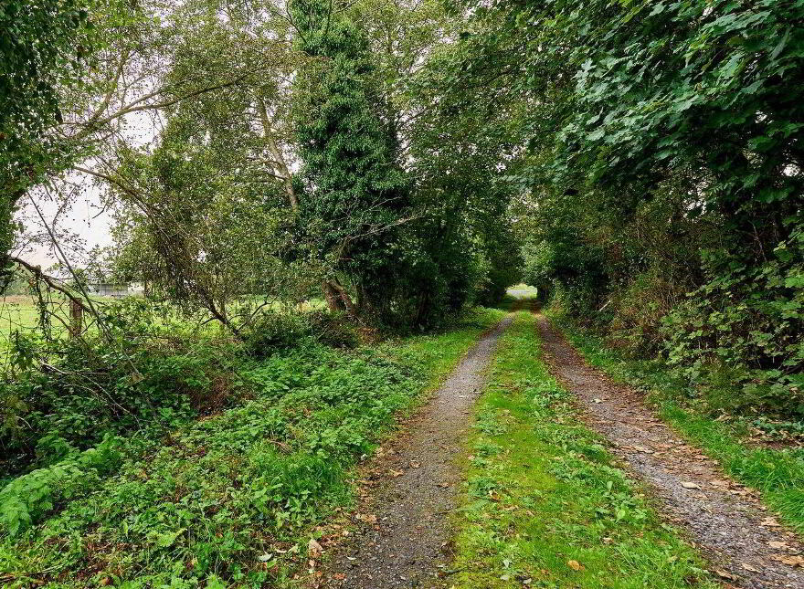 Ticknevin, Carbury, W91X8XN