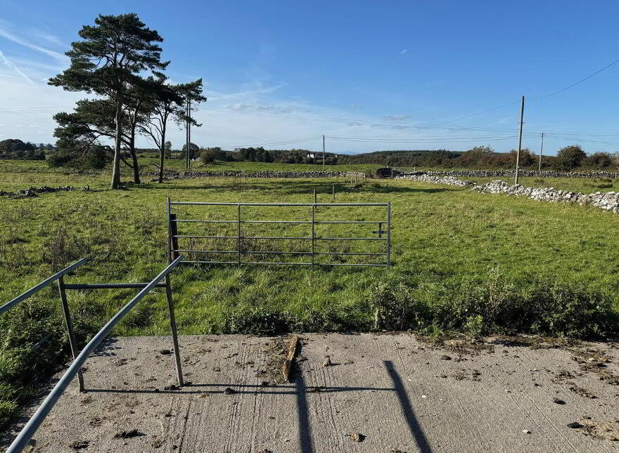 Ballyhankeen, Hollymount