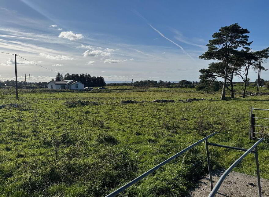 Ballyhankeen, Hollymount