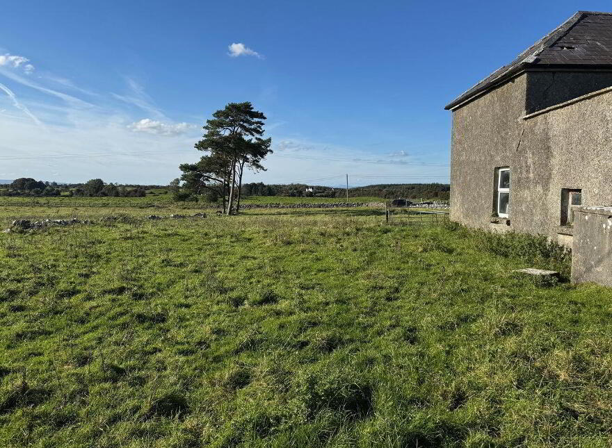 Ballyhankeen, Hollymount