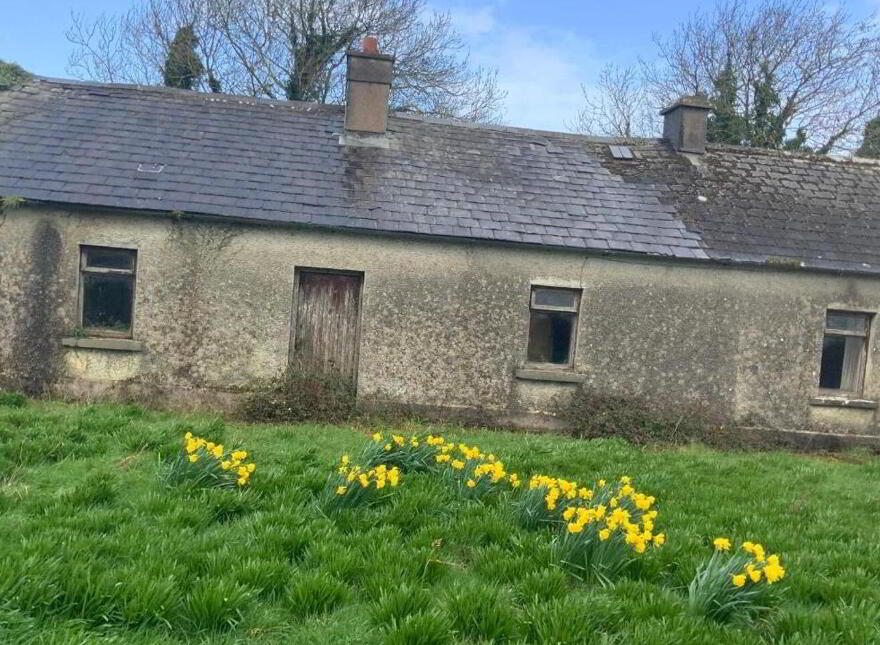 Mulderricksfield, Askeaton, Foynes, V94W3P8