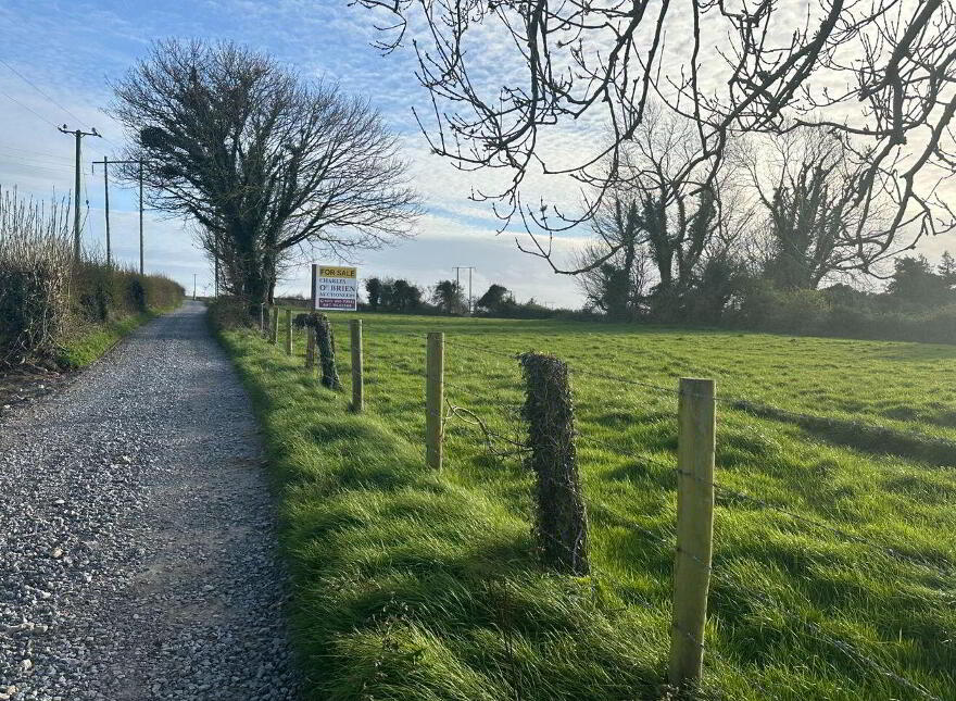 Mulderricksfield, Askeaton, Foynes, V94W3P8