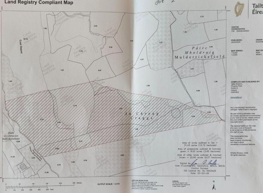 Mulderricksfield, Askeaton, Foynes, V94W3P8