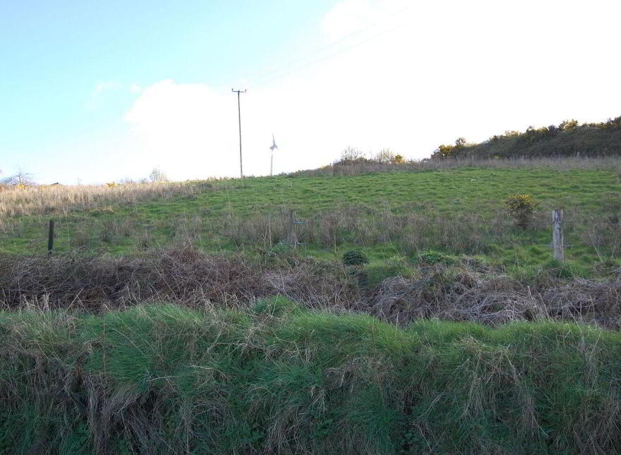 Killeedy, Ballagh photo