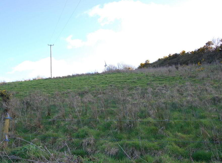 Killeedy, Ballagh