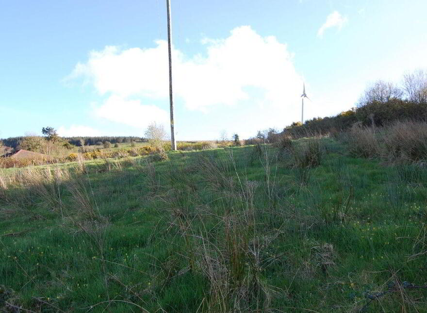 Killeedy, Ballagh