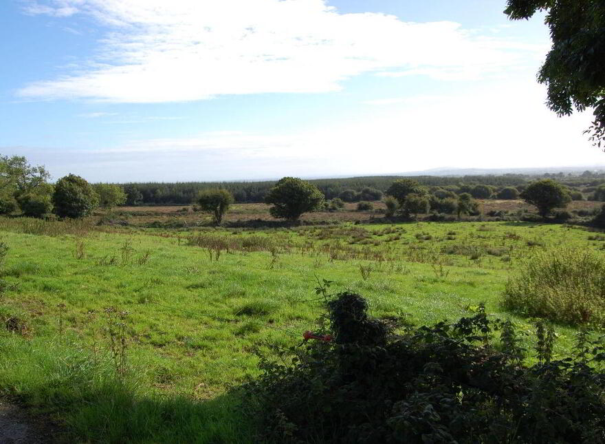 Rooska East, Carrigkerry, Carrigkerry, V94V4AV