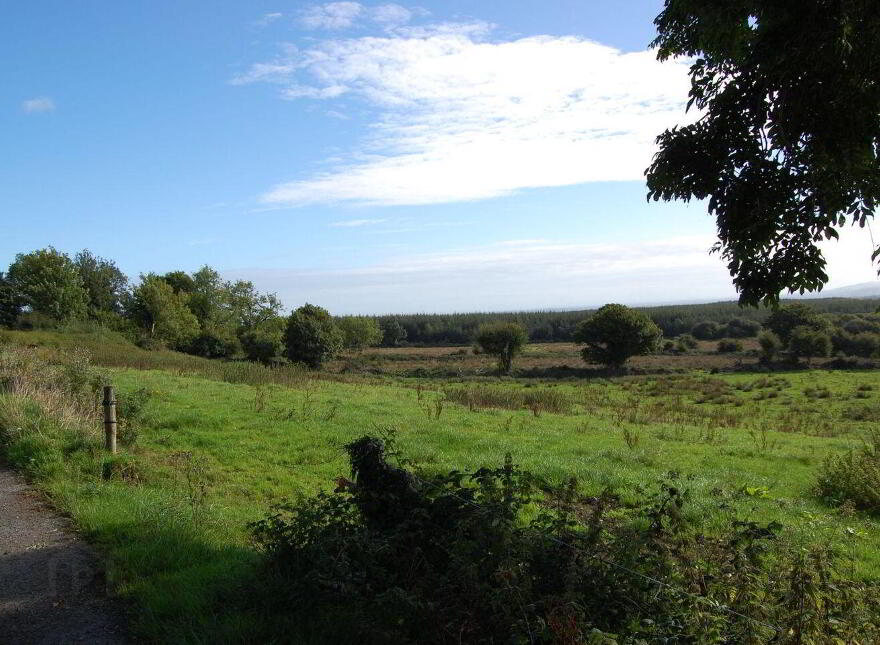Rooska East, Carrigkerry, Carrigkerry, V94V4AV