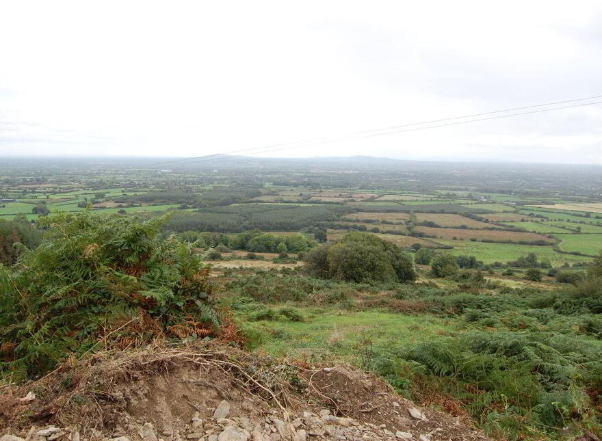 Rooska East, Carrigkerry, Carrigkerry, V94V4AV