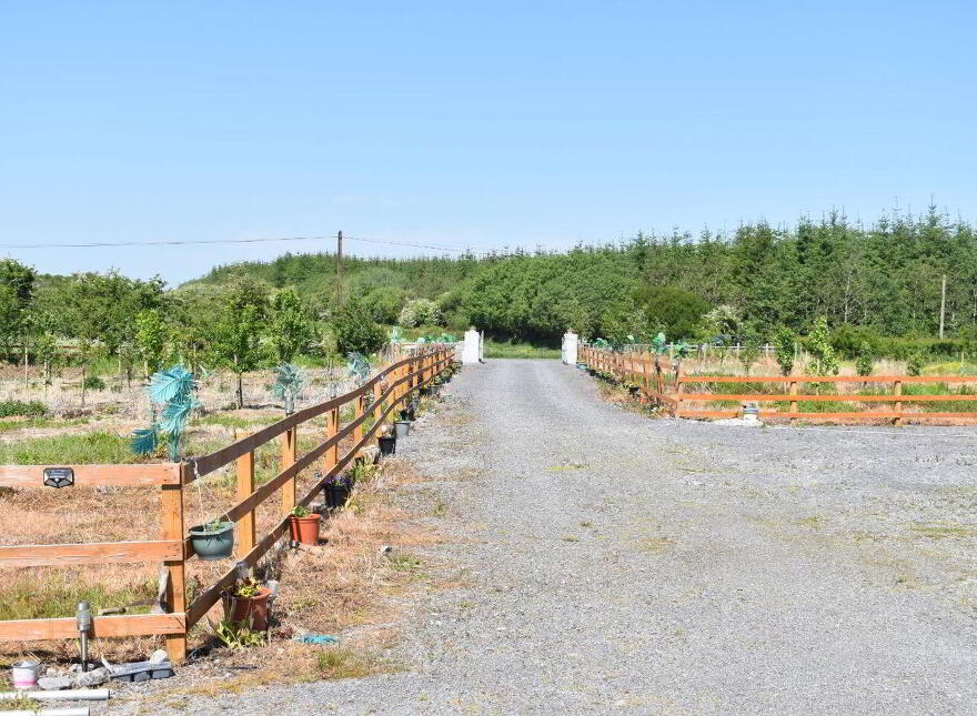Scor Beg, Ballinameen, Boyle, F52HY27