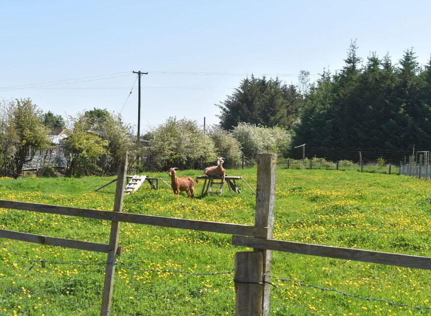 Scor Beg, Ballinameen, Boyle, F52HY27