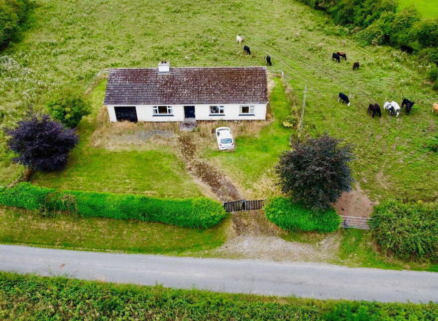 Lisnagree, Streamstown, N91W593