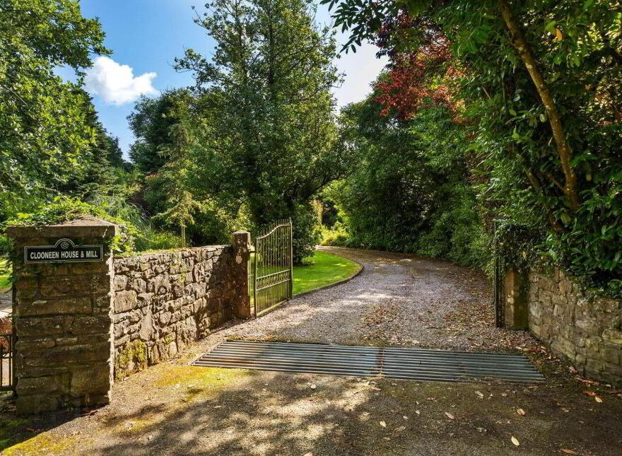 Clooneen House, And Mill, Clooneen, Clooneen, N39R5X2