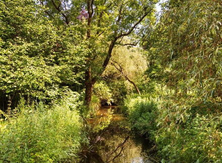 Clooneen House, And Mill, Clooneen, Clooneen, N39R5X2