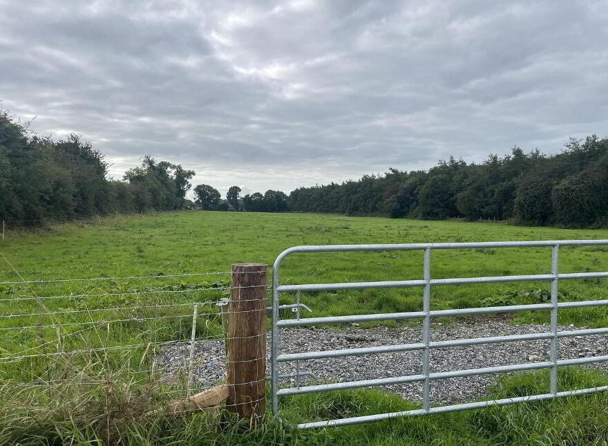 Clonin Lane, Rhode