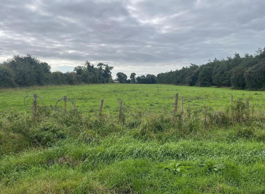 Clonin Lane, Rhode