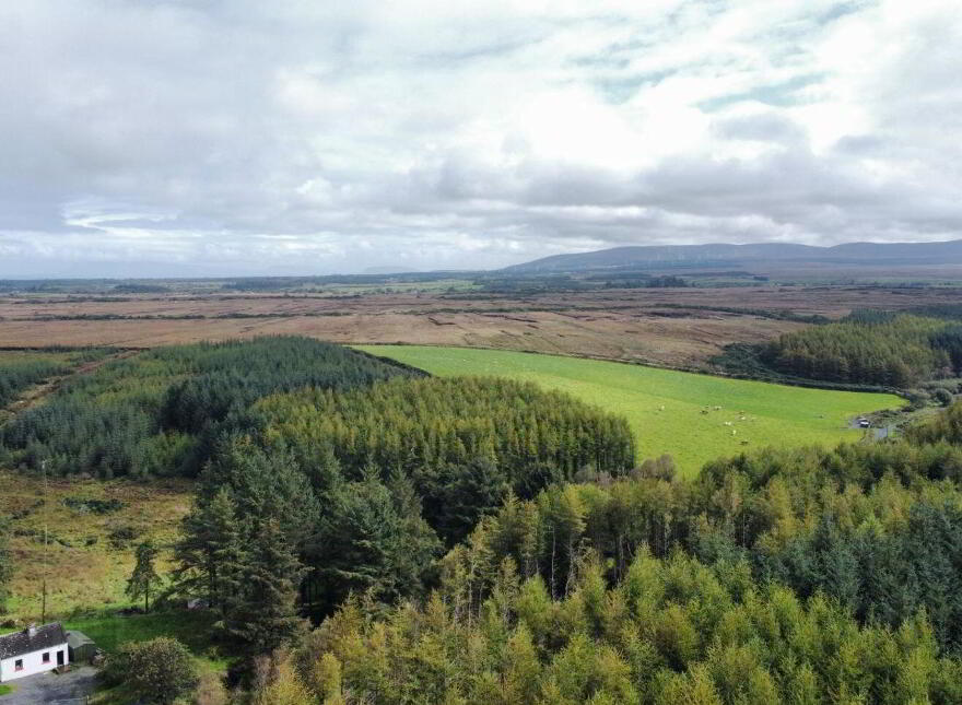 Caltra, Culleens, Owenbeg, F26FK23