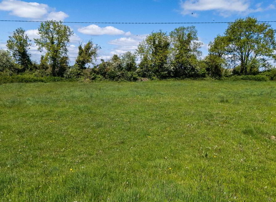 Fearmore, Kilkenny West, N37A504