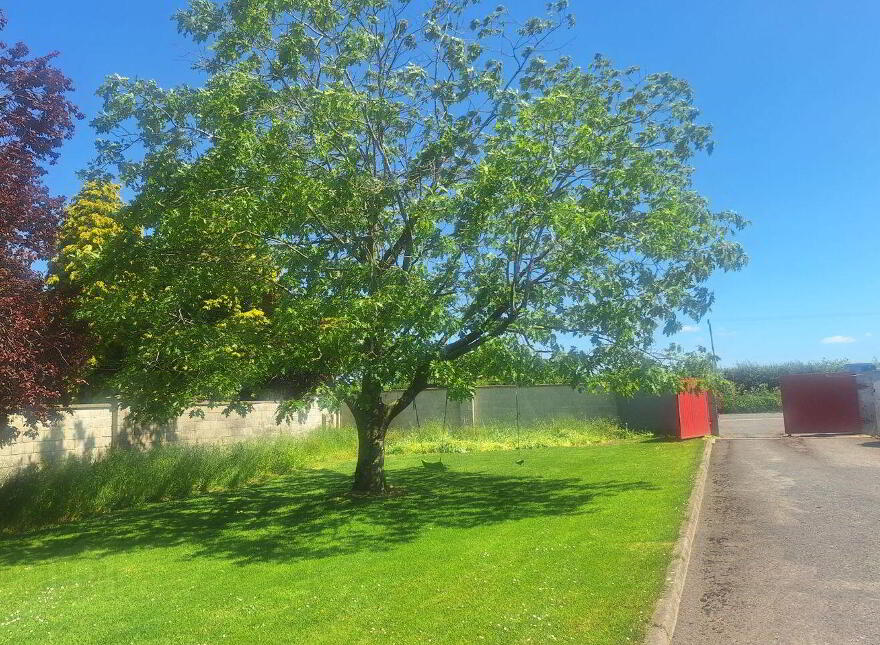 Ballybailie, Ardee, Dromin, A92Y762