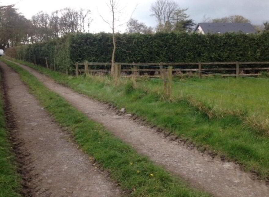 Fiddaun, Craughwell