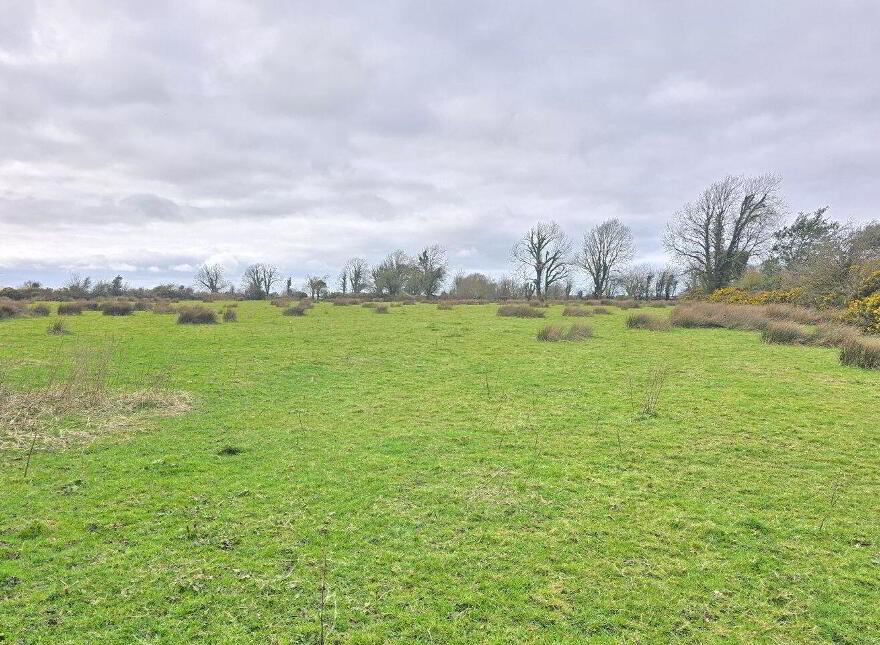 Alloon, Ballymacward, Ballinasloe, H53F6P8