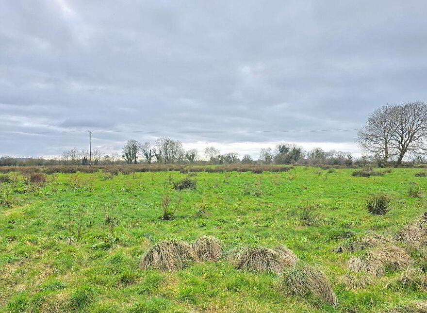 Alloon, Ballymacward, Ballinasloe, H53F6P8