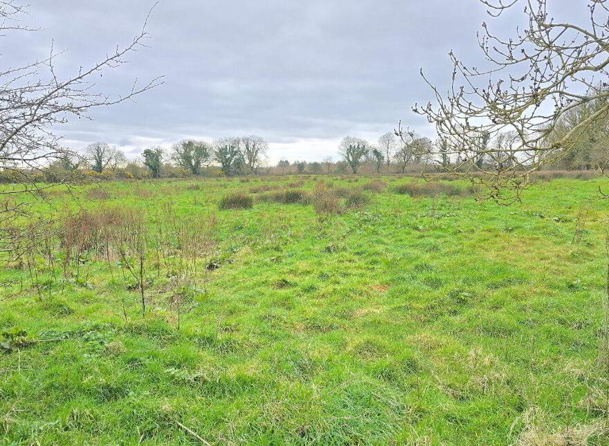 Alloon, Ballymacward, Ballinasloe, H53F6P8