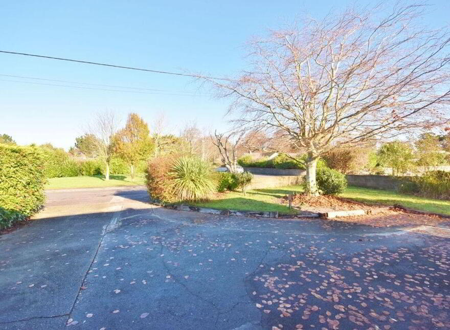 9 Castle Demesne, Ballinahow, Ballinahow, V92P8FY