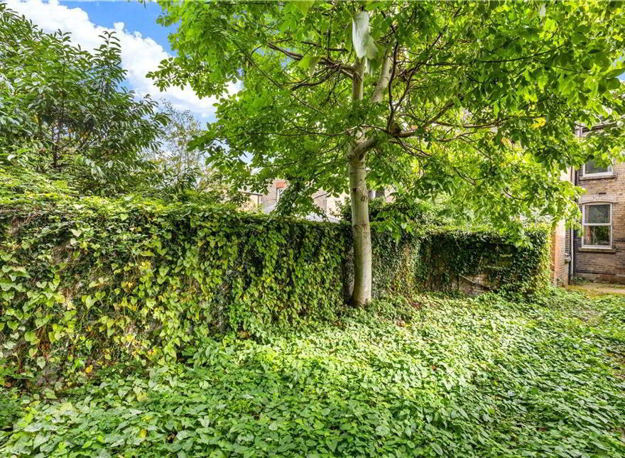 10 Hollybank Avenue Lower, Ranelagh, Ranelagh, D06N7F8