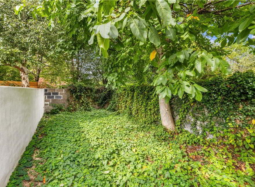 10 Hollybank Avenue Lower, Ranelagh, Ranelagh, D06N7F8